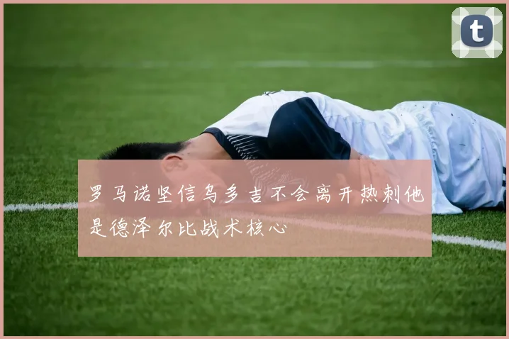 罗马诺坚信乌多吉不会离开热刺他是德泽尔比战术核心